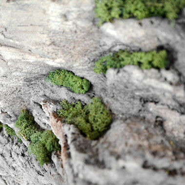 Naturstein-Imitation Close-Up